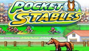 pocket-stables-android-u-review